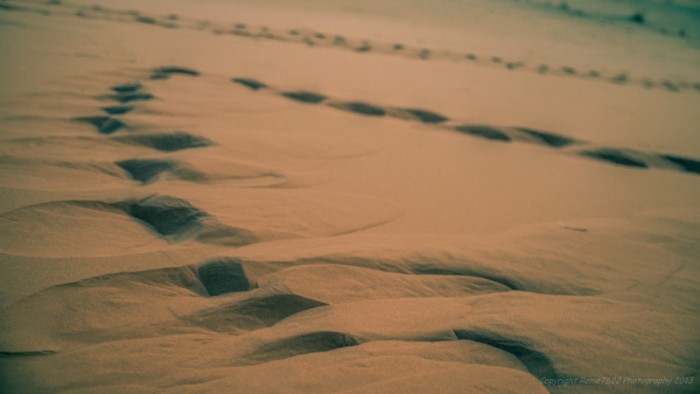 Footprints in the sahara, Erg Chebbi, Morocco