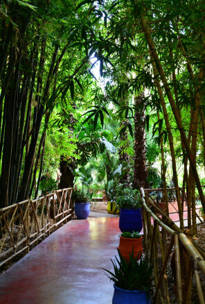 Majorelle Gardens Marrakech, Morocco