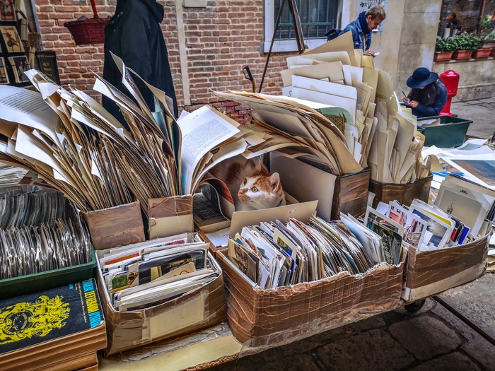 Quirky Things to do in Venice: Visit Libreria Acqua Alta Bookshop