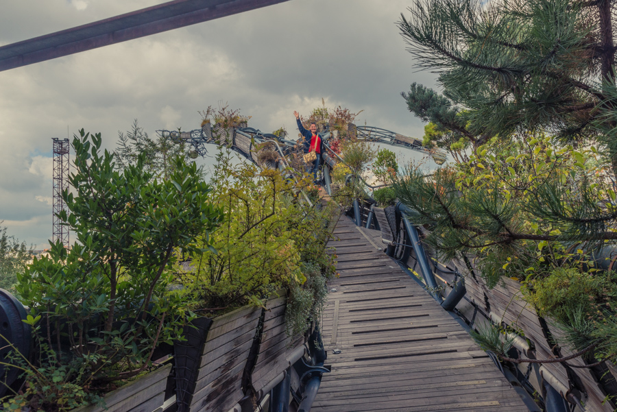 the Heron Tree of Nantes France