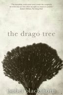 The Drago Tree, The Canary Islands, The Spanish Islands.