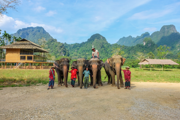 Elephant Hills, elephant experience, glamping, tents, Thailand, Khao Sok National Park, travel, travelling book junkie