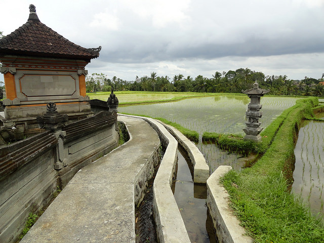 Campuhan Ridge Walk, Ubud, Bali, Indonesia, Travel, Travelling Book Junkie