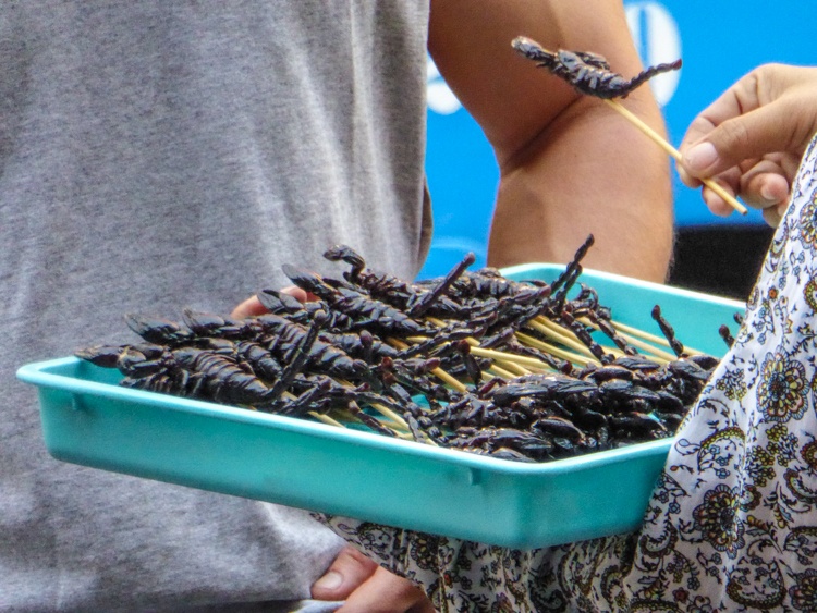 bangkok, street food, thailand, eating, stalls, food, market, eating, street, thai, travellingbookjunkie