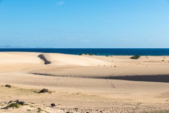 Fuerteventura: 5 Things Everyone Visiting Must Do