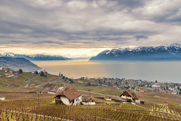 Lake Leman, Lausanne, Switzerland, Strangers on a Bridge, Louise Mangos