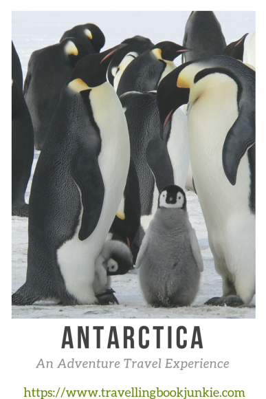 Why Antarctica Should be Your Next Adventure Destination