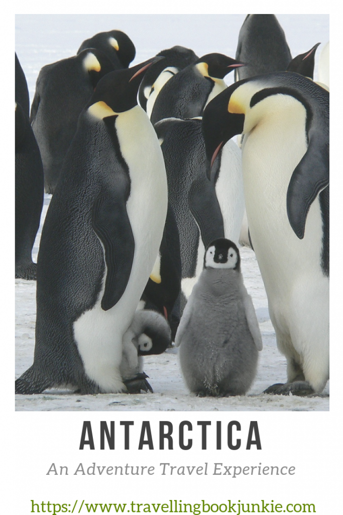 Antarctica: A destination all adventure seekers should visit but what are the top 5 activities to do on the continent? @tbookjunkie has the answers.