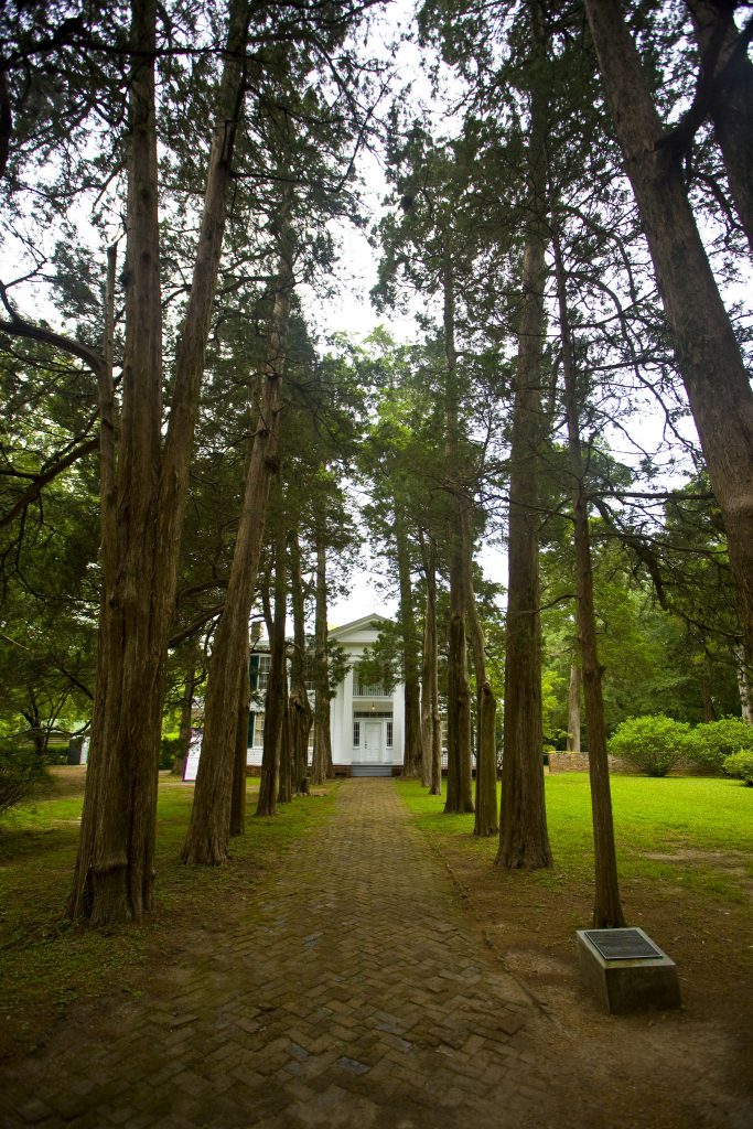 Rowan oak in Mississippi in the US is a literary must visit when in the area