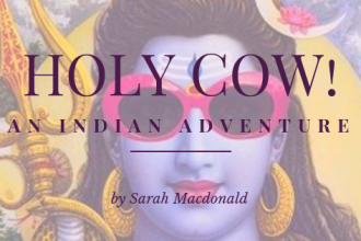 Holy Cow! An Indian Adventure book review