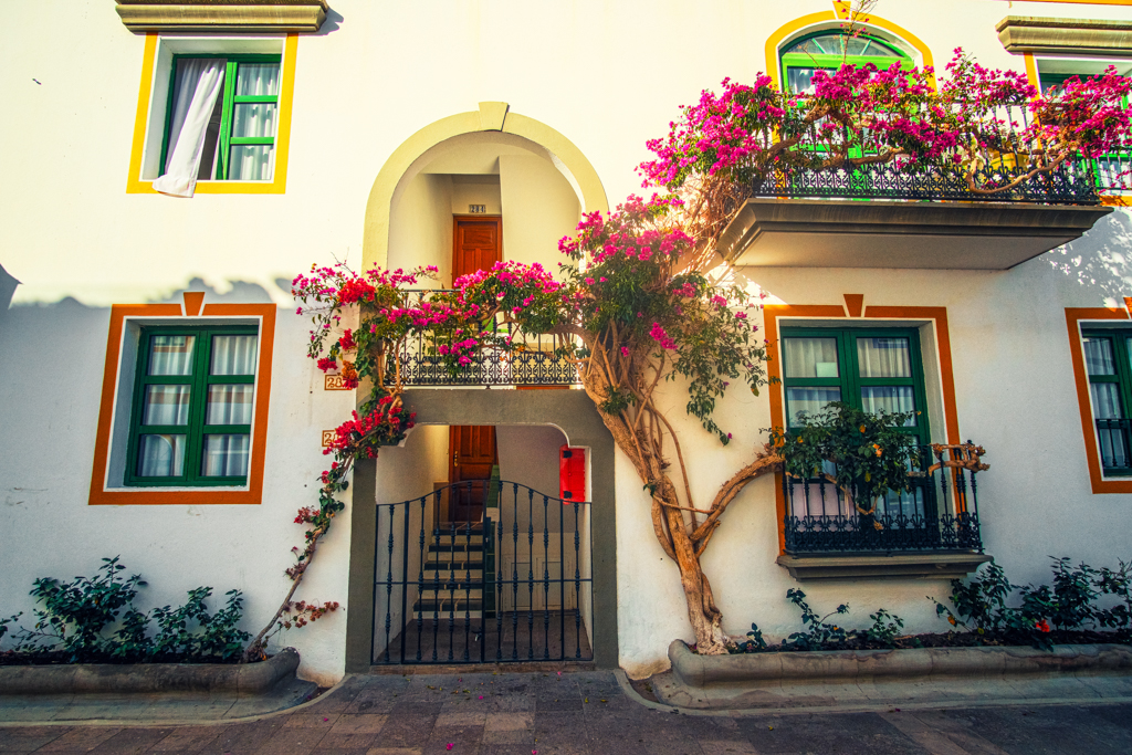 The white-washed buildings of Puerto de Mogan