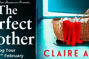 The Perfect Mother by Claire Allan blog tour via @tbookjunkie