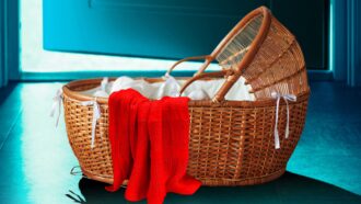 The Perfect Mother book cover with a baby wicket basket and a red blanket on a blue background